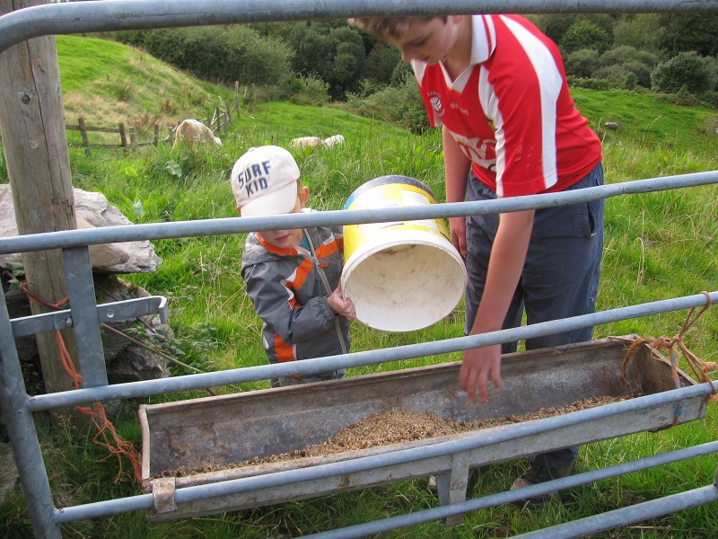 Hands on farm fun in rural Ireland