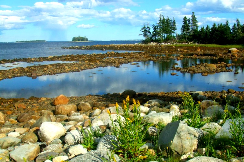 Smith's Cove Oak Island Mahone Bay Nouvelle-Écosse Le mystère d'Oak Island