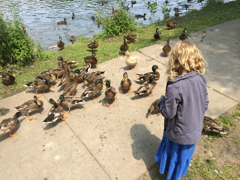 Why family Vacations Matter - feeding ducks