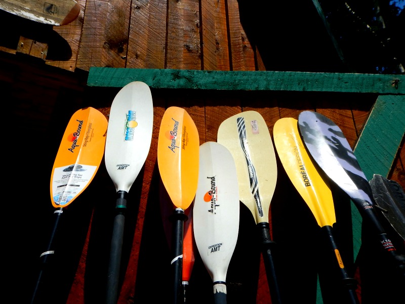 The Colours of Cape Breton, Nova Scotia (Family Fun Canada)