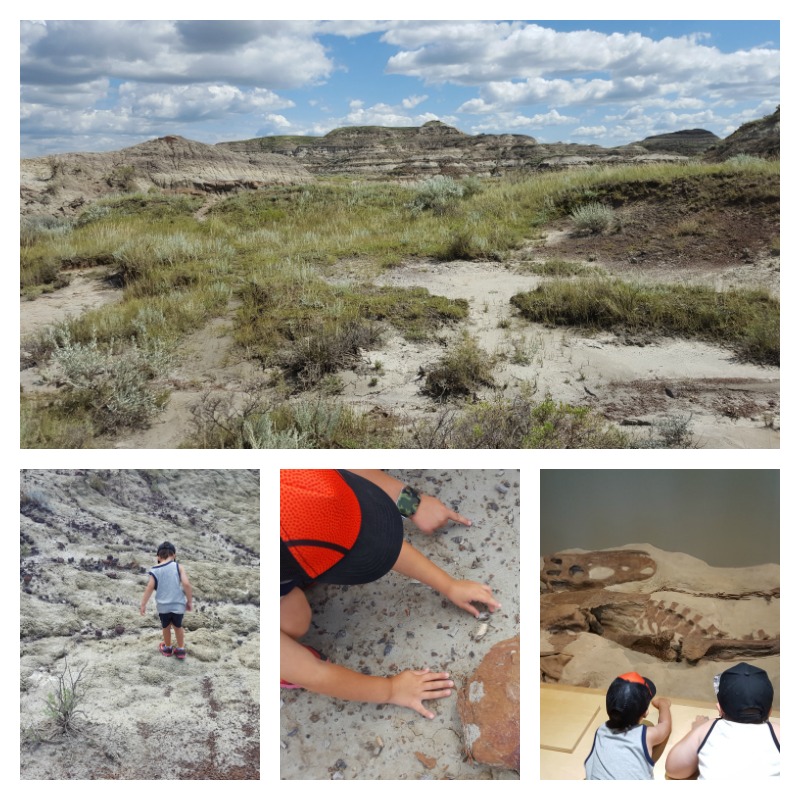 Fossil hunters on the trail in Dinosaur Provincial Park