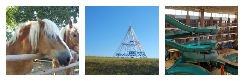 These sweet boys pulled the wagon at the rodeo; Medicine Hat is home to the largest teepee in the world, the Saamis Teepeee; our view of the waterpark from our room at the Mediciine Hat Lodge 