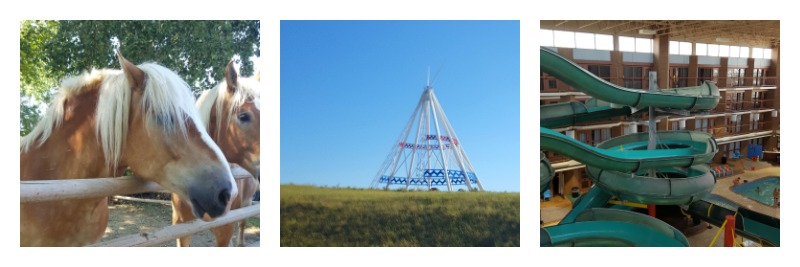 Diese süßen Jungs zogen den Wagen beim Rodeo; In Medicine Hat steht das größte Tipi der Welt, das Saamis Tipi; unser Blick auf den Wasserpark von unserem Zimmer in der Mediciine Hat Lodge