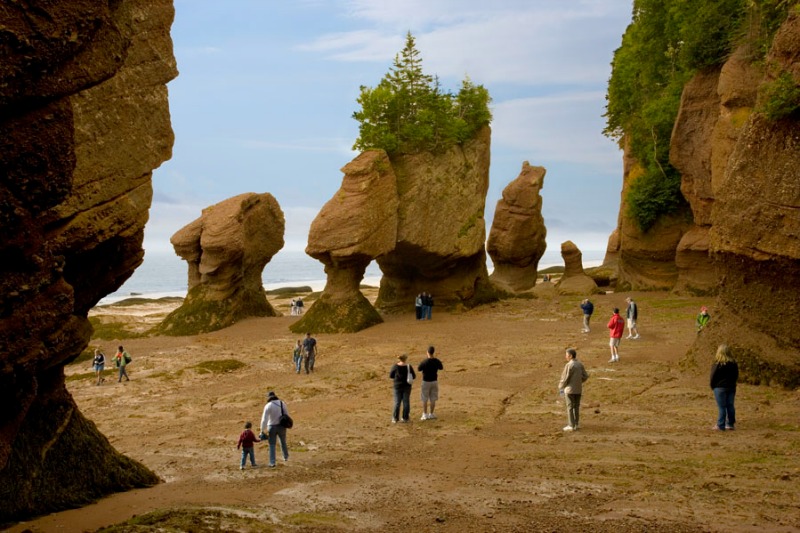 Hopewell Rocks