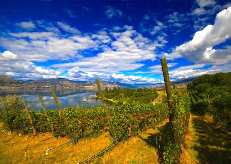 Naramata Bench.ca