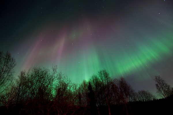 Aurora in Alaska