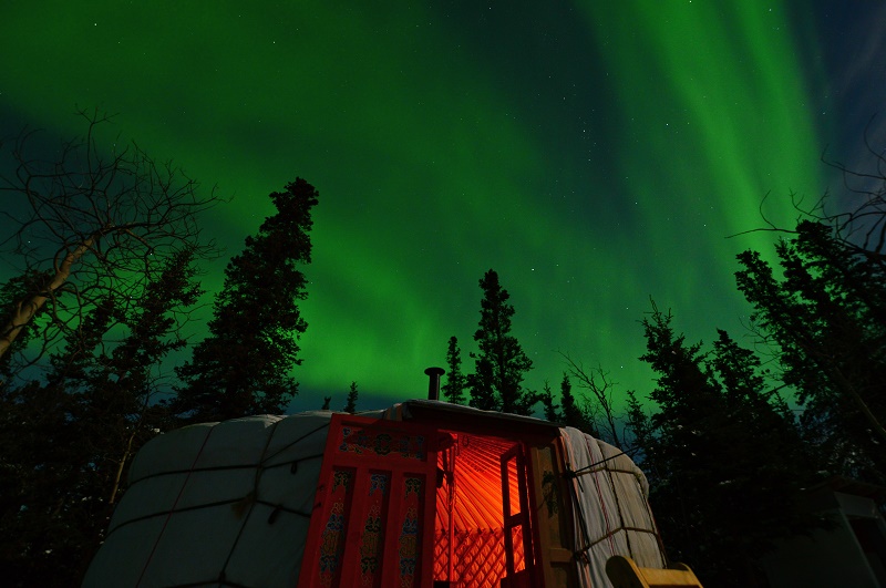 As luzes do norte acima do Yurt no Traveling Light Bed & Breakfast