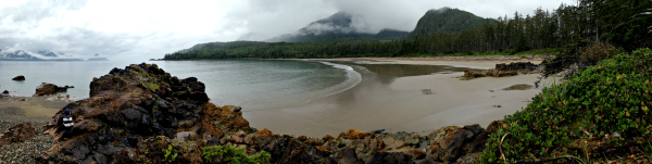 Westcoast sauvage sur la plage de Bonanza