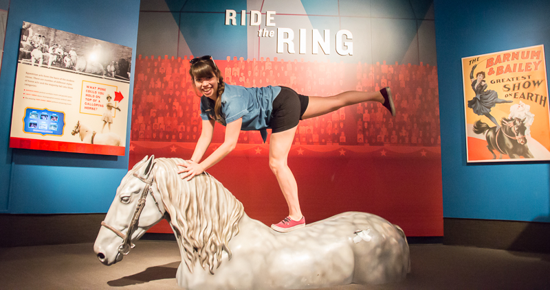 The Ringling Sarasota - Get in the act at Tibbals Learning Centre