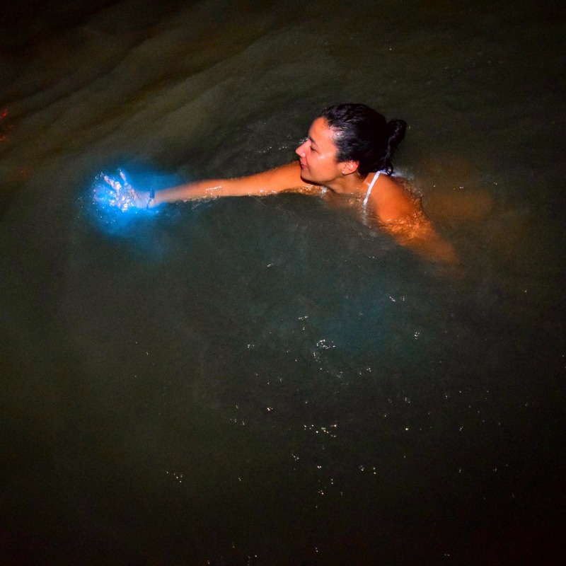 Leuchtende Hände in der Glistening Waters Luminous Lagoon Jamaica