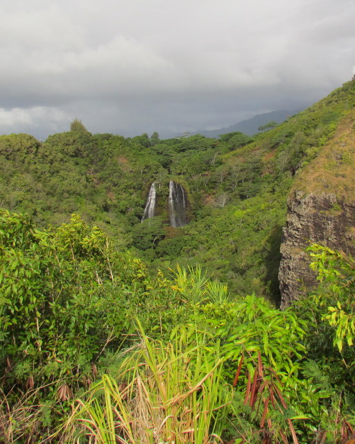 La star de nombreux films réalisés sur Kauaʻi, les belles chutes d'Opaeka'a - photo de Debra Smith