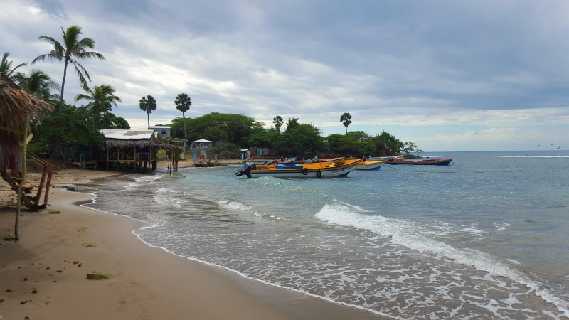 Treasure Beach, où est basée la Fondation Bred, est un paisible village de pêcheurs