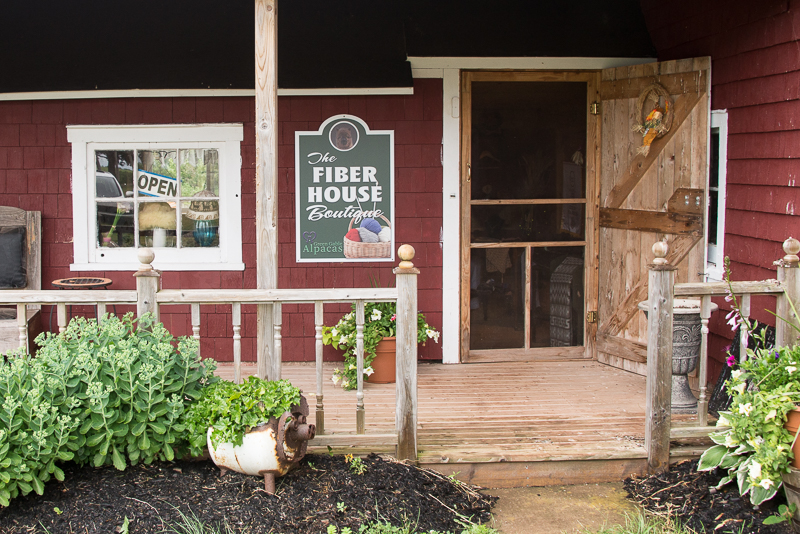 Animal Adventures - La boutique Fiber House à la ferme d'alpaga Green Gables