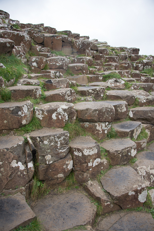 Giant's Causeway Steps Foto von Jan Napier