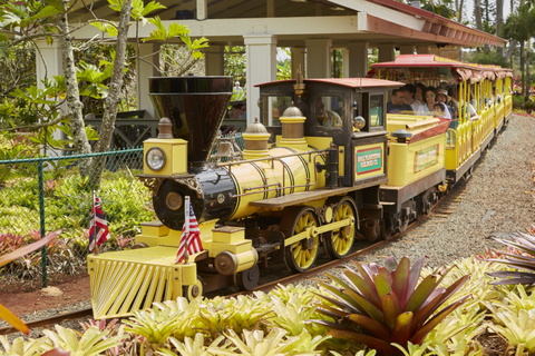 Faites un tour sur les trains de canne à sucre d'Hawaï