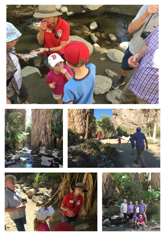 How 3 Generations Did Greater Palm Springs, Family Style! ~ Family Fun Canada
