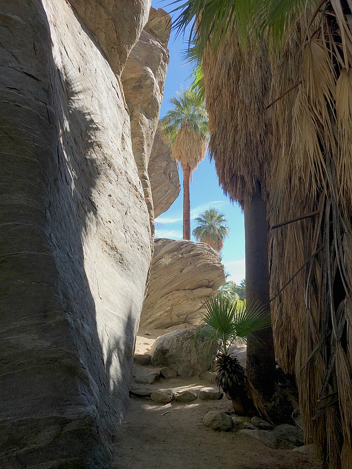 How 3 Generations Did Greater Palm Springs, Family Style! ~ Family Fun Canada