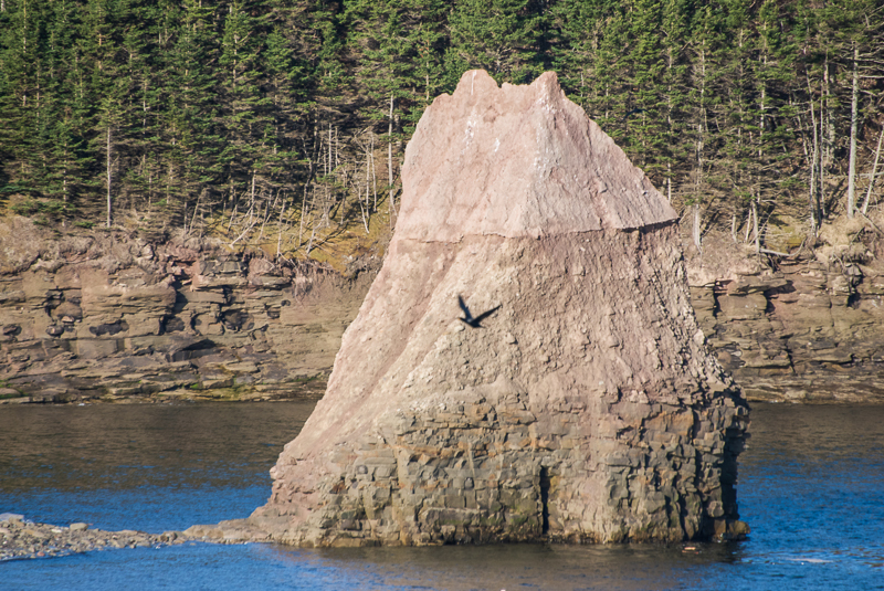 Acadia Coastal Drive - Grande-Anse Foto von Jan Napier