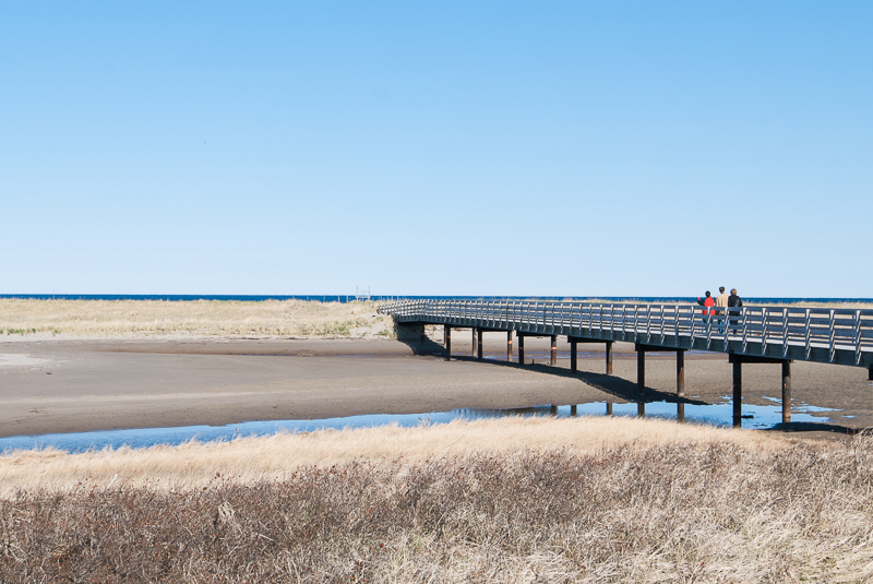 Acadia Coastal Drive Kouchibouguac Foto de Jan Napier