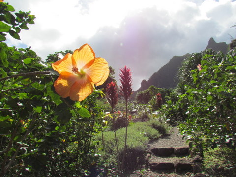 Volunteering in Hawai’i can take you to some beautiful places. – photo Debra Smith