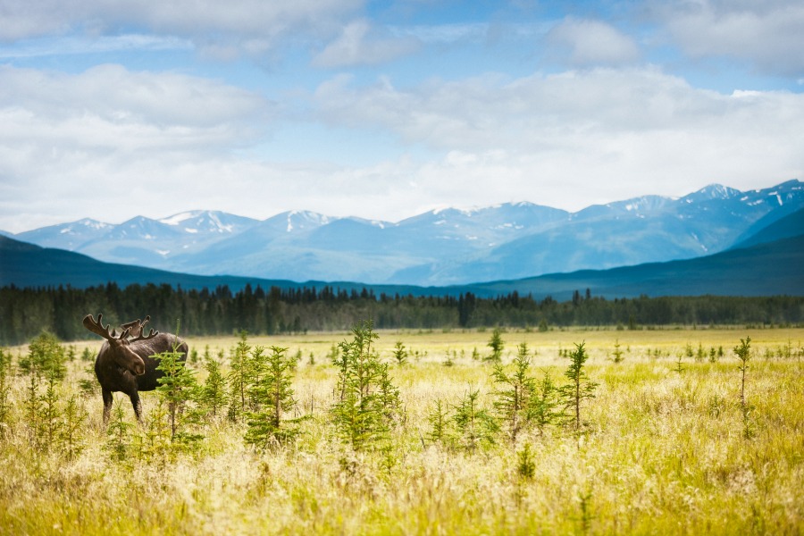 National Parks