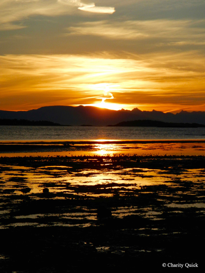 Rathtrevor Beach Provincial Park Sunrise에서의 캠핑