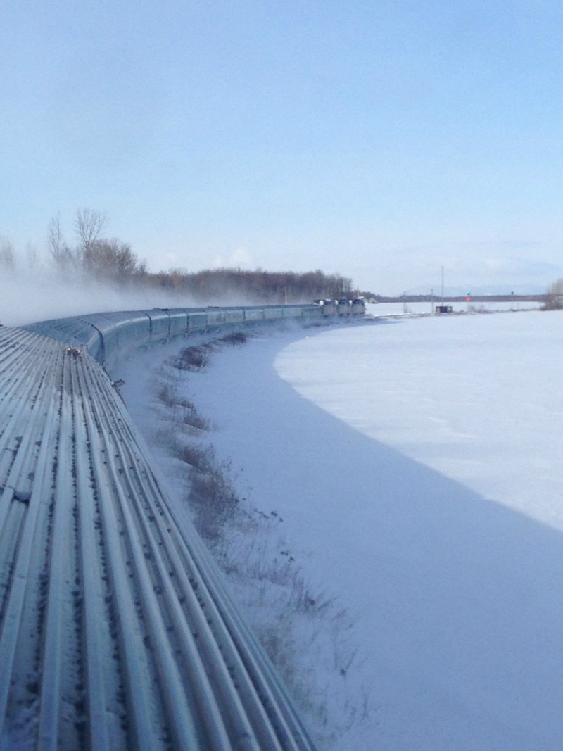 Child's eye view of the tracks. Photo Heidi Brooks