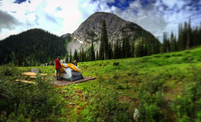 A campsite with a view at Fernie Alpine Resort (photo: Nicole Matei)