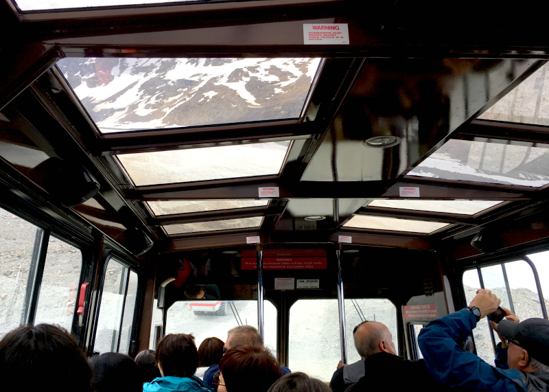 Jasper National Park de ponta a ponta: 3 atrações que garantirão que você experimente o melhor do parque! (Diversão em família Canadá)