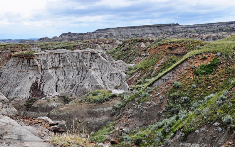 Dinosaur Provincial Park - badlands. Photo Sue Mylde