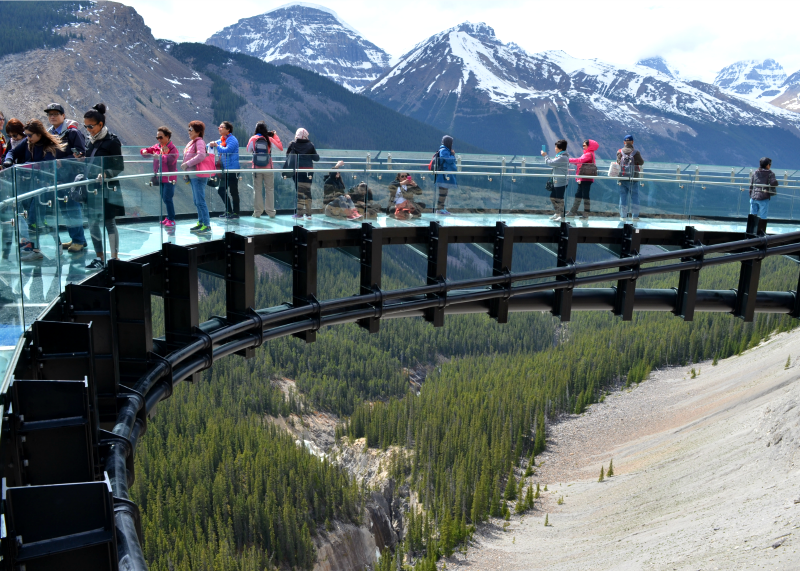 Jasper National Park From End to End: 3 Attractions That Will Ensure You Experience the Best of the Park! (Family Fun Canada)