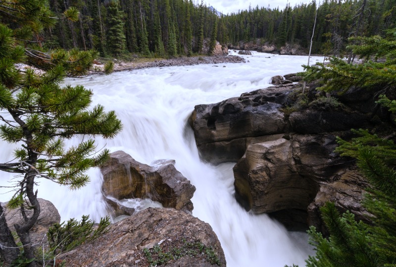 Lower Sunwapta Falls no Parque Nacional Jasper. Crédito Rogier Gruys