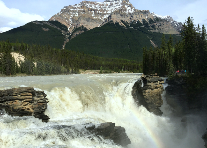 Jasper National Park von Ende zu Ende: 3 Attraktionen, die sicherstellen, dass Sie das Beste des Parks erleben! (Familienspaß Kanada)