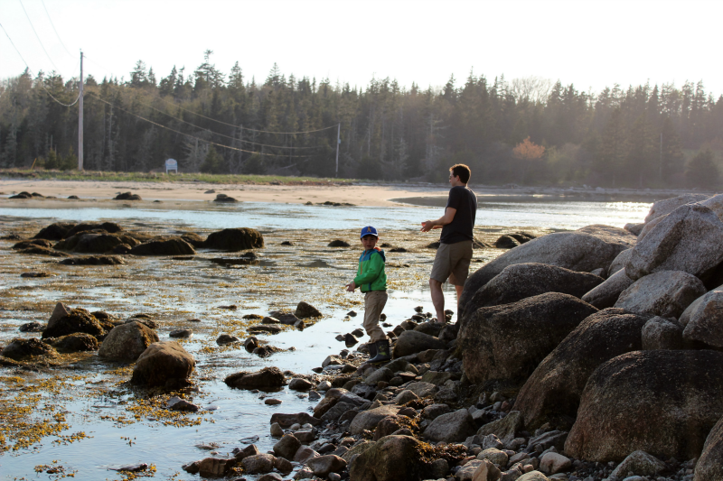 On the Sandbar of Micou's Island -Exploring With Kids on Nova Scotia's Chebucto Peninsula