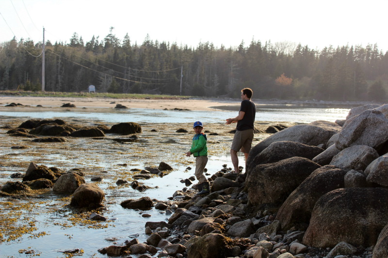 Sur le banc de sable de l'île de Micou - Explorer avec des enfants sur la péninsule de Chebucto en Nouvelle-Écosse