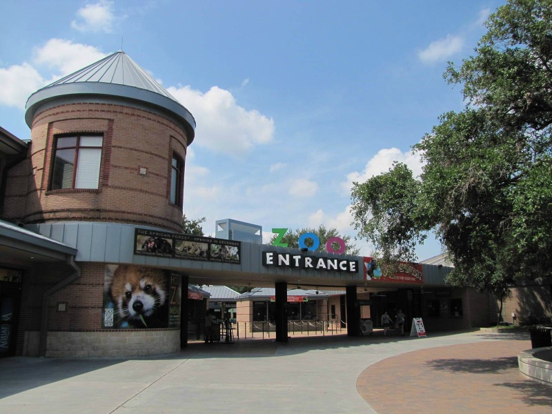 Houston Museum District Attractions Your Toddler Will Love - Houston-Zoo - Photo Kaeleigh MacDonald