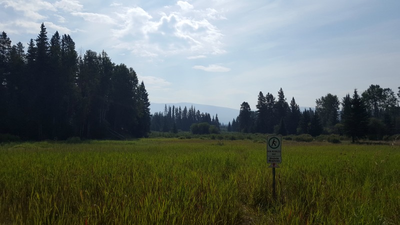 Alcançando o equilíbrio perfeito em Nordegg, Alberta