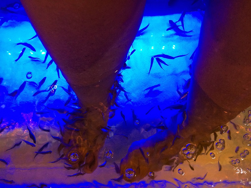 Kid Friendly things to do in Bangkok - A visit to the fish spa is a must. Your feet will feel like a baby’s bottom afterwards. Photo Credit Jennifer Morton