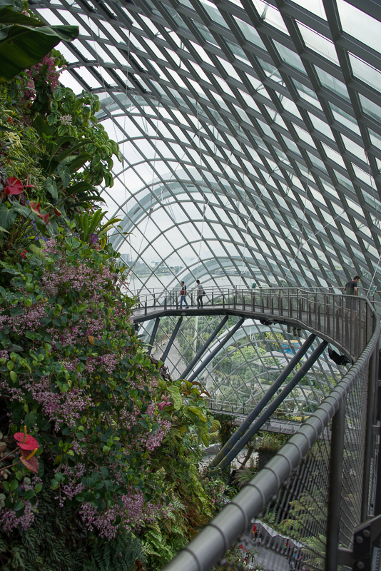 Familienspaß in Singapur - Nebelwald Foto Jan Napier