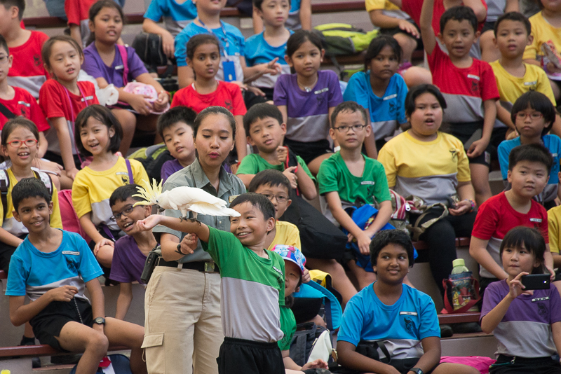 Diversão em família em Cingapura - Jurong Bird Park Foto Jan Napier