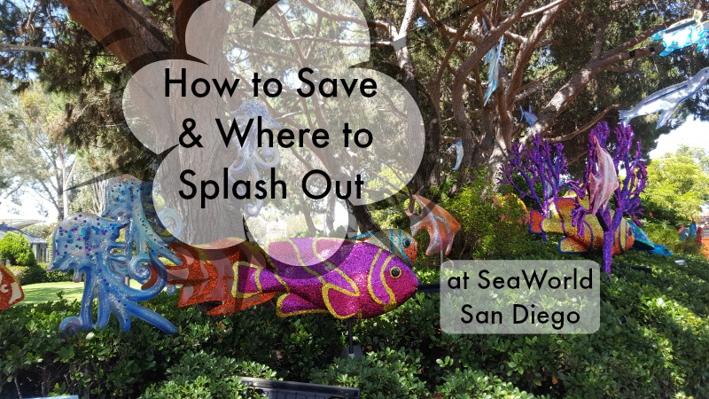 SeaWorld San Diego How to Save and Where to Splash Out
