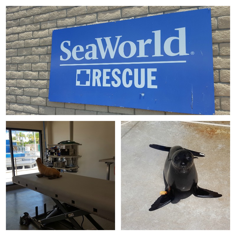 SeaWorld San Diego Rescue Centre