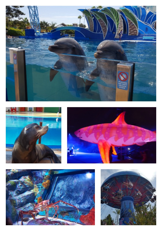 Animales, atracciones y espectáculos de SeaWorld San Diego