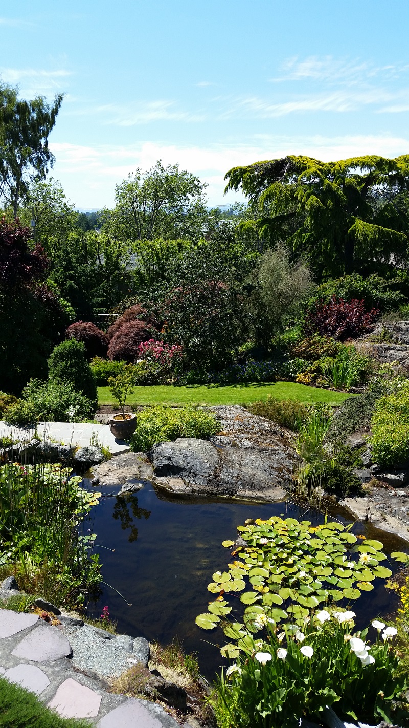 Victoria Gardens La vue depuis la maison de thé abkhaze - photo Debra Smith