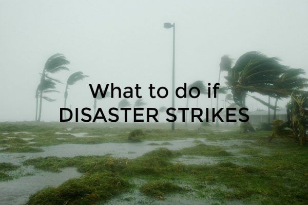 What to do if disaster strikes