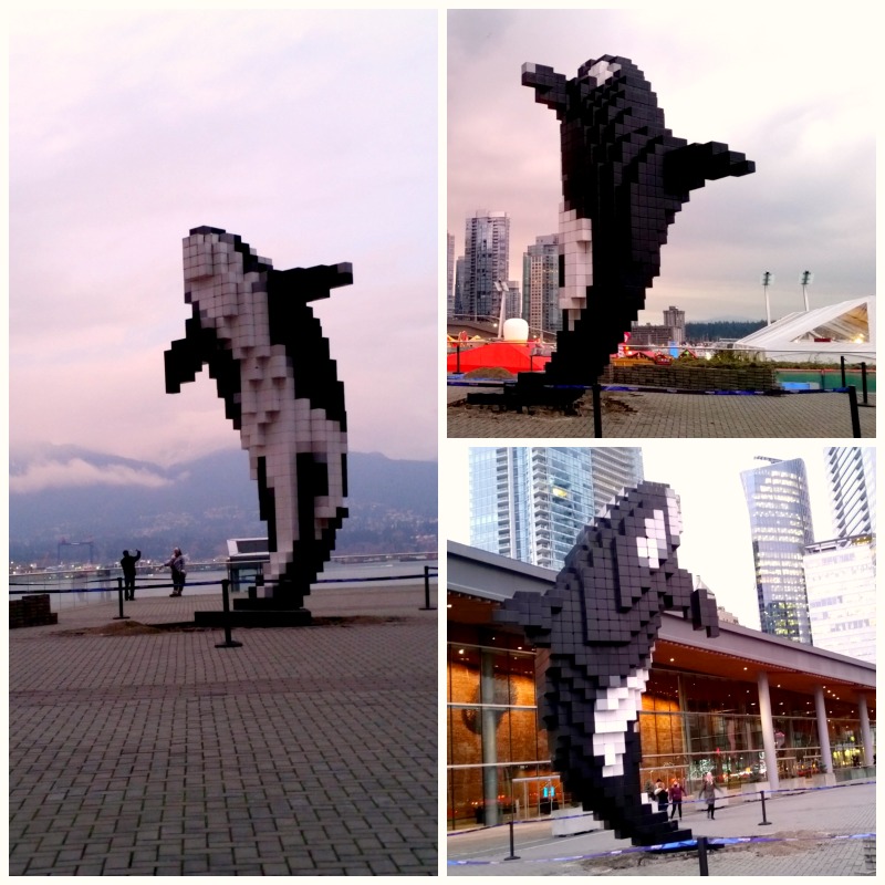 加拿大的艺术 - 数字逆戟鲸