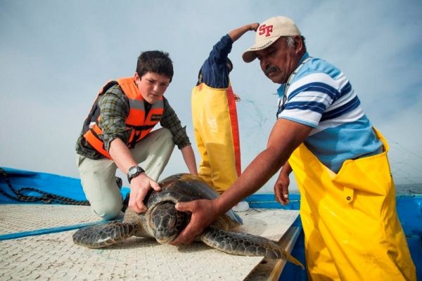 Aprendendo sobre as tartarugas marinhas antes de soltá-las na natureza Foto Turismo La Paz