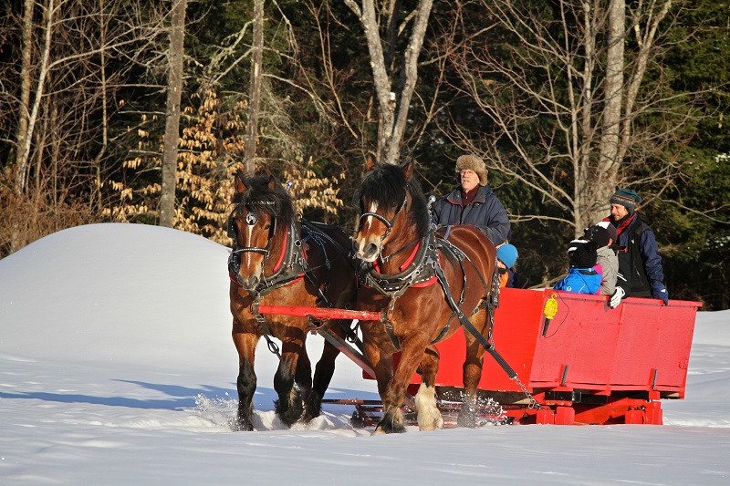 Mont Tremblant Sleigh ਰਾਈਡ ਕ੍ਰੈਡਿਟ @Tremblant