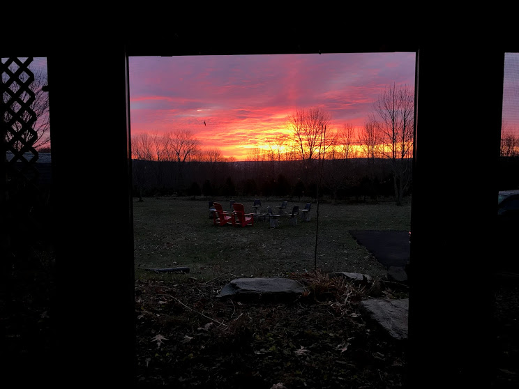 Auf dem Bauernhof mit AirBnB Farmer Gerry und den Weihnachtsbäumen