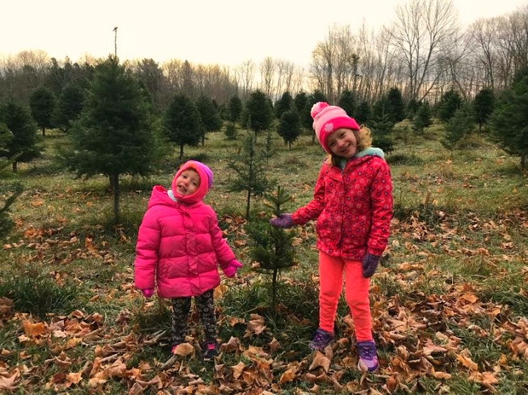 Auf dem Bauernhof mit AirBnB Farmer Gerry und den Weihnachtsbäumen